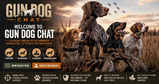 Gun Dog Chat